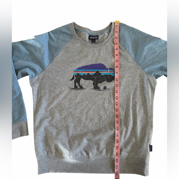 Patagonia Fitz Roy Bison Ahnya Crew Sweatshirt - Picture 5 of 8